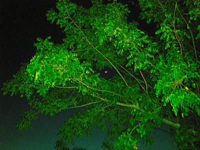 Click here to view at full resolution.