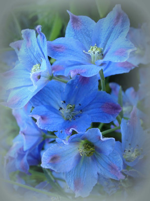 Click here to view at full resolution.