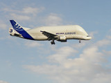 Airbus Beluga by Ramad, photography->aircraft gallery