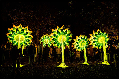 Click here to view at full resolution.