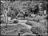 Romantic Notion by amishy, photography->gardens gallery