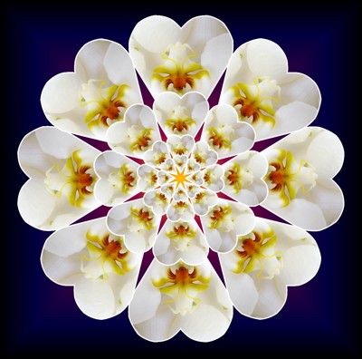 Click here to view at full resolution.