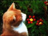Taking time . . . . by LynEve, photography->manipulation gallery