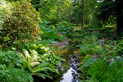 Click here to view at full resolution.