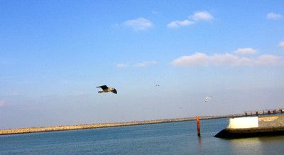Click here to view at full resolution.