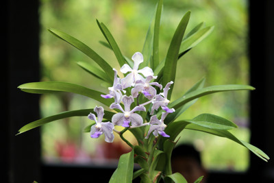 Click here to view at full resolution.