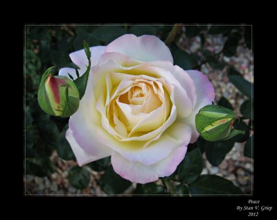 Click here to view at full resolution.
