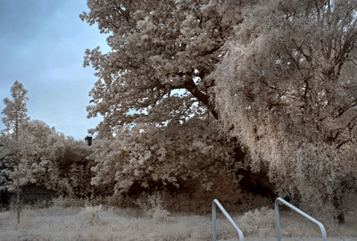 Click here to view at full resolution.