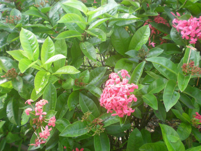 Click here to view at full resolution.