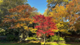 Autumn In The Park #2 by LynEve, photography->landscape gallery