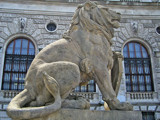 The king of Vienna by Blumie, Photography->Sculpture gallery