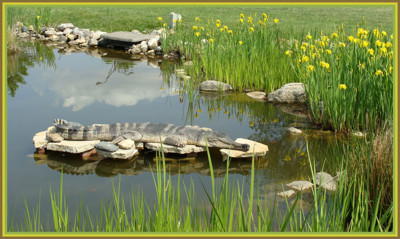 Click here to view at full resolution.