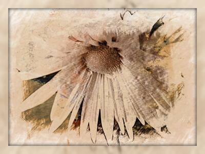 Click here to view at full resolution.