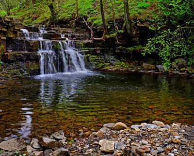 Click here to view at full resolution.