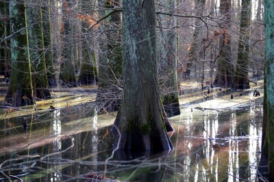 Click here to view at full resolution.