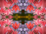 Spring Teaser #7 by HylianPrincess1985, Abstract->Fractal gallery