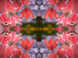 Spring Teaser #7 by HylianPrincess1985, Abstract->Fractal gallery