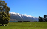 Lake Wakatipu - In Pastures Green by LynEve, photography->landscape gallery