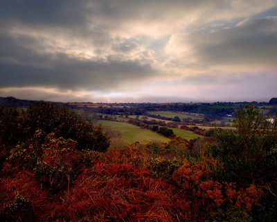 Click here to view at full resolution.