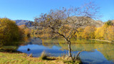 Southern Autumn #2 Shedding her Leaves by LynEve, photography->landscape gallery