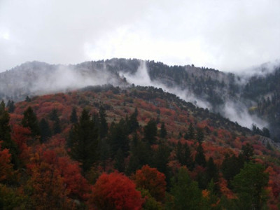 Click here to view at full resolution.