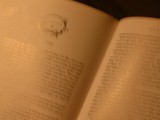 In a Story by Feanor, photography->macro gallery