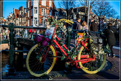 Click here to view at full resolution.