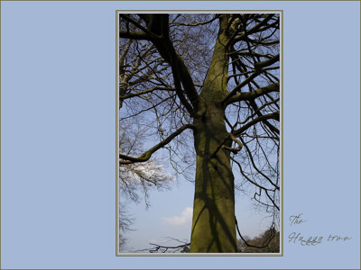 Click here to view at full resolution.