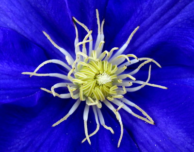 Click here to view at full resolution.