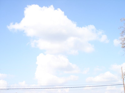 Click here to view at full resolution.