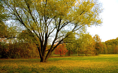 Click here to view at full resolution.