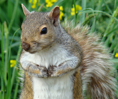 Click here to view at full resolution.