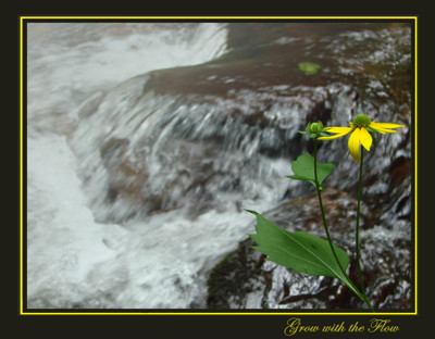 Click here to view at full resolution.