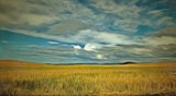 Crops &amp; Clouds by LynEve, photography->manipulation gallery