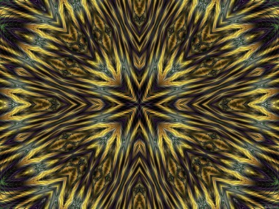 Click here to view at full resolution.