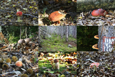 Click here to view at full resolution.