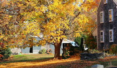 Click here to view at full resolution.