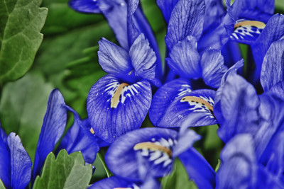 Click here to view at full resolution.