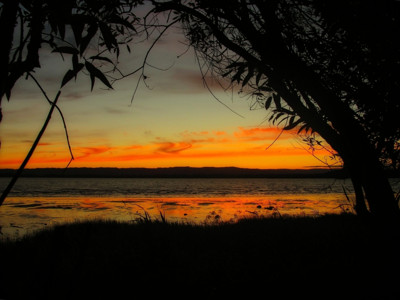 Sunset  Through the Trees by busybottle, photography->sunset/rise gallery