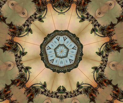 Click here to view at full resolution.