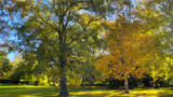 Autumn In The Park #10 by LynEve, photography->landscape gallery