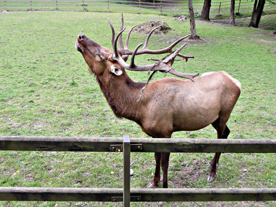 Click here to view at full resolution.