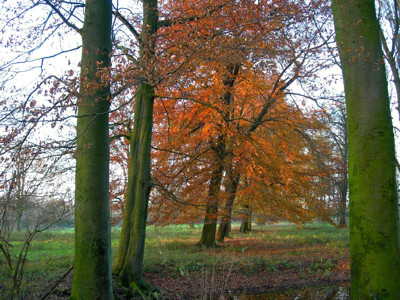 Click here to view at full resolution.