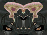 Butterfly Reset by Flmngseabass, abstract gallery