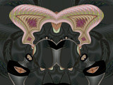 Butterfly Reset by Flmngseabass, abstract gallery