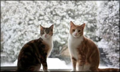 Click here to view at full resolution.