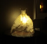 Interesting . . . by Vickid, photography->general gallery