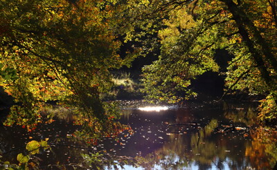 Click here to view at full resolution.