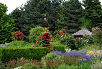 Click here to view at full resolution.
