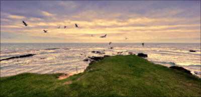 Click here to view at full resolution.